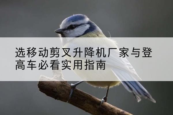 滦州电动升降机厂家-选移动剪叉升降机厂家与登高车必看实用指南