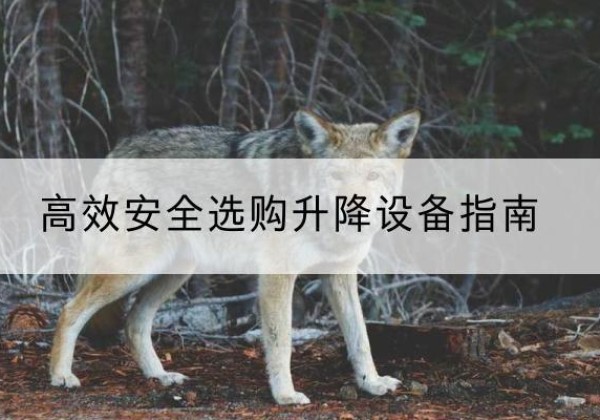 滦州升降货梯厂家推荐-*安全选购升降设备指南